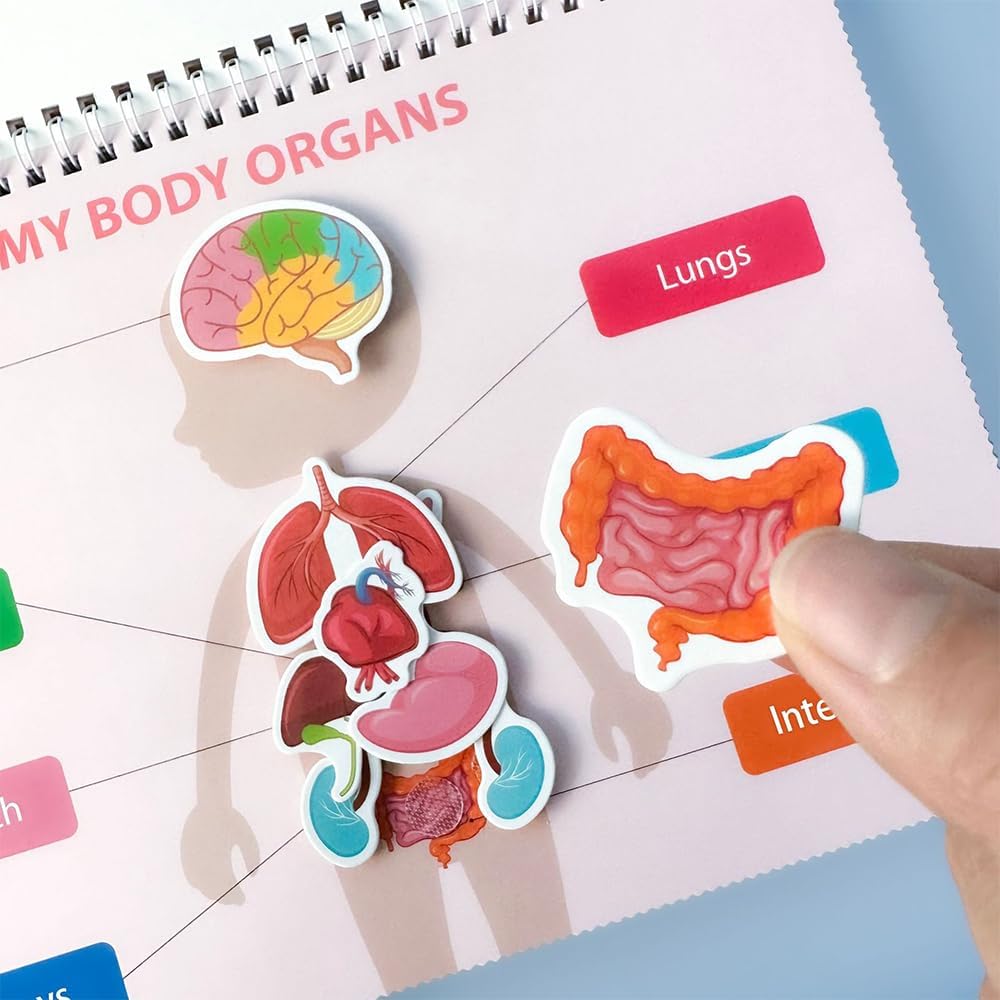 Human Body Busy Book for Toddlers