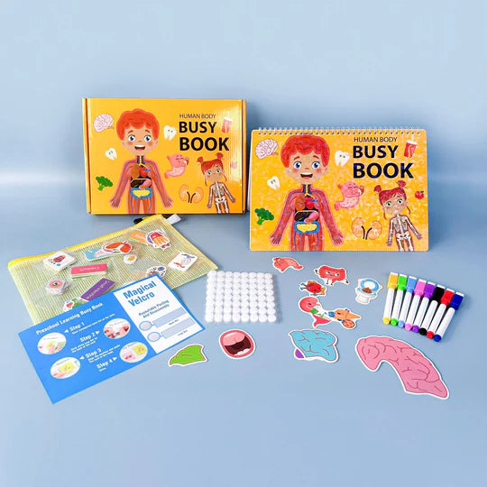 Human Body Busy Book for Toddlers